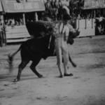 imagen 147:Festivales Taurinos