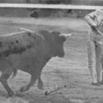 imagen 155:Festivales Taurinos