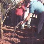 imagen 7:Fiesta del Árbol. Termet 